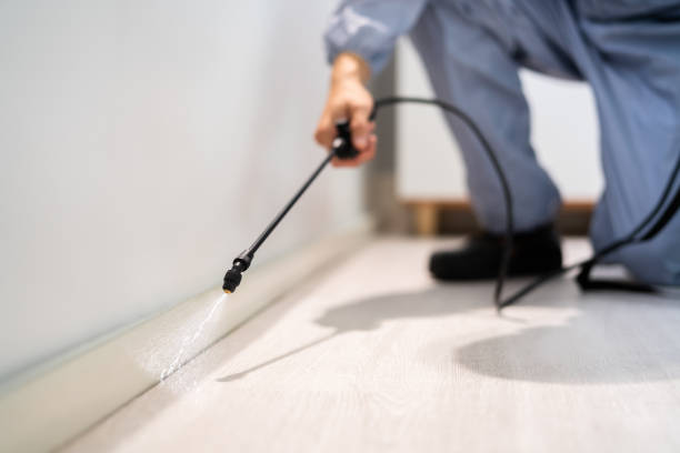 Bed Bug Pre-Treatment Preparation Assessment in Hutchison