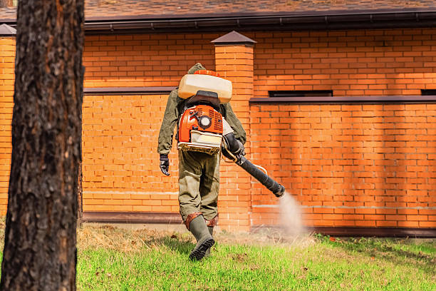 Bed Bug Clearance Verification and Documentation in Hutchison